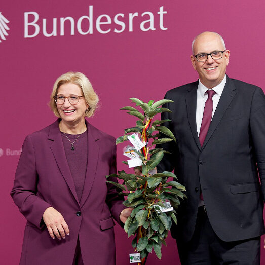 TdDE_Bundesrat-bovenschulte